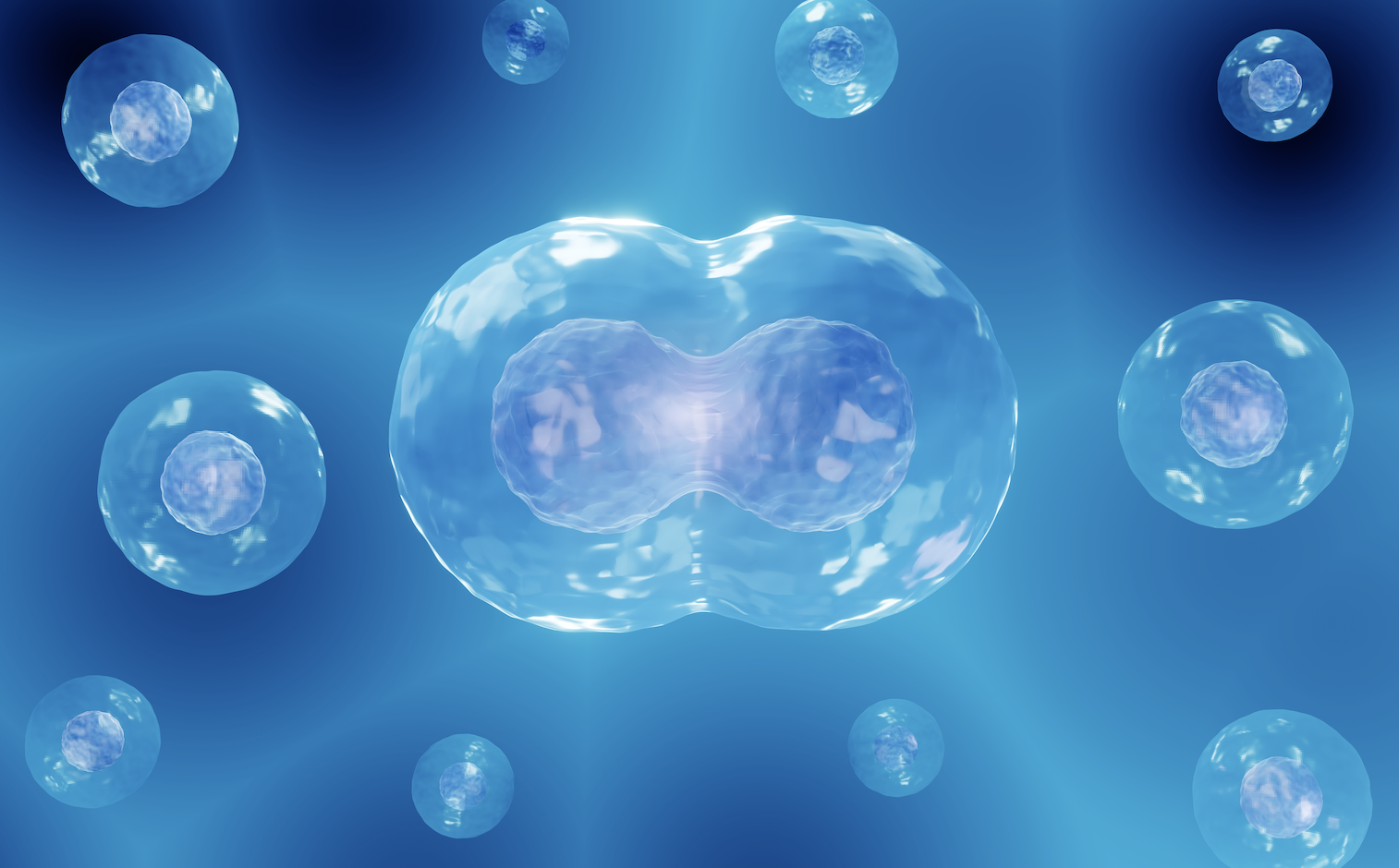 WX20240510-225303@2x.png