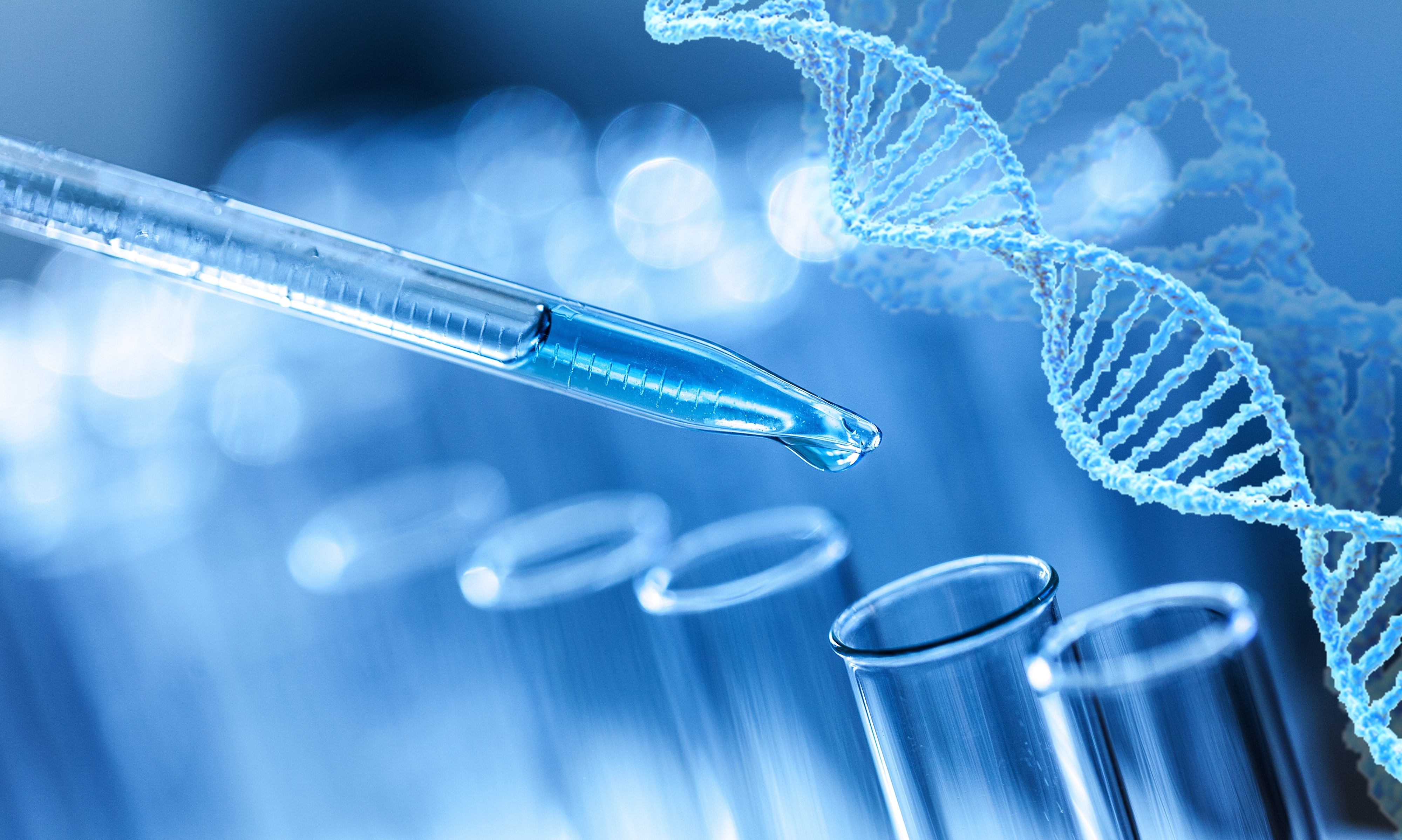 花瓣素材_分析。_185818545 (1).jpg