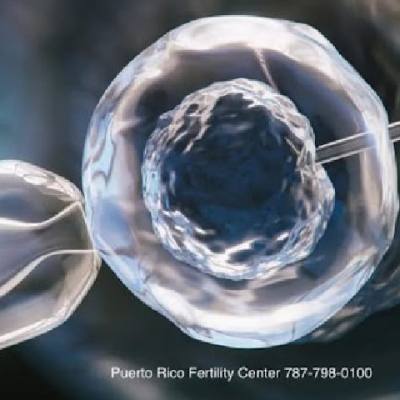 Puerto Rico Fertility Center، الولايات المتحدة
