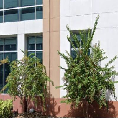 Shady Grove Fertility في سانت بطرسبرغ، فلوريدا، الولايات المتحدة